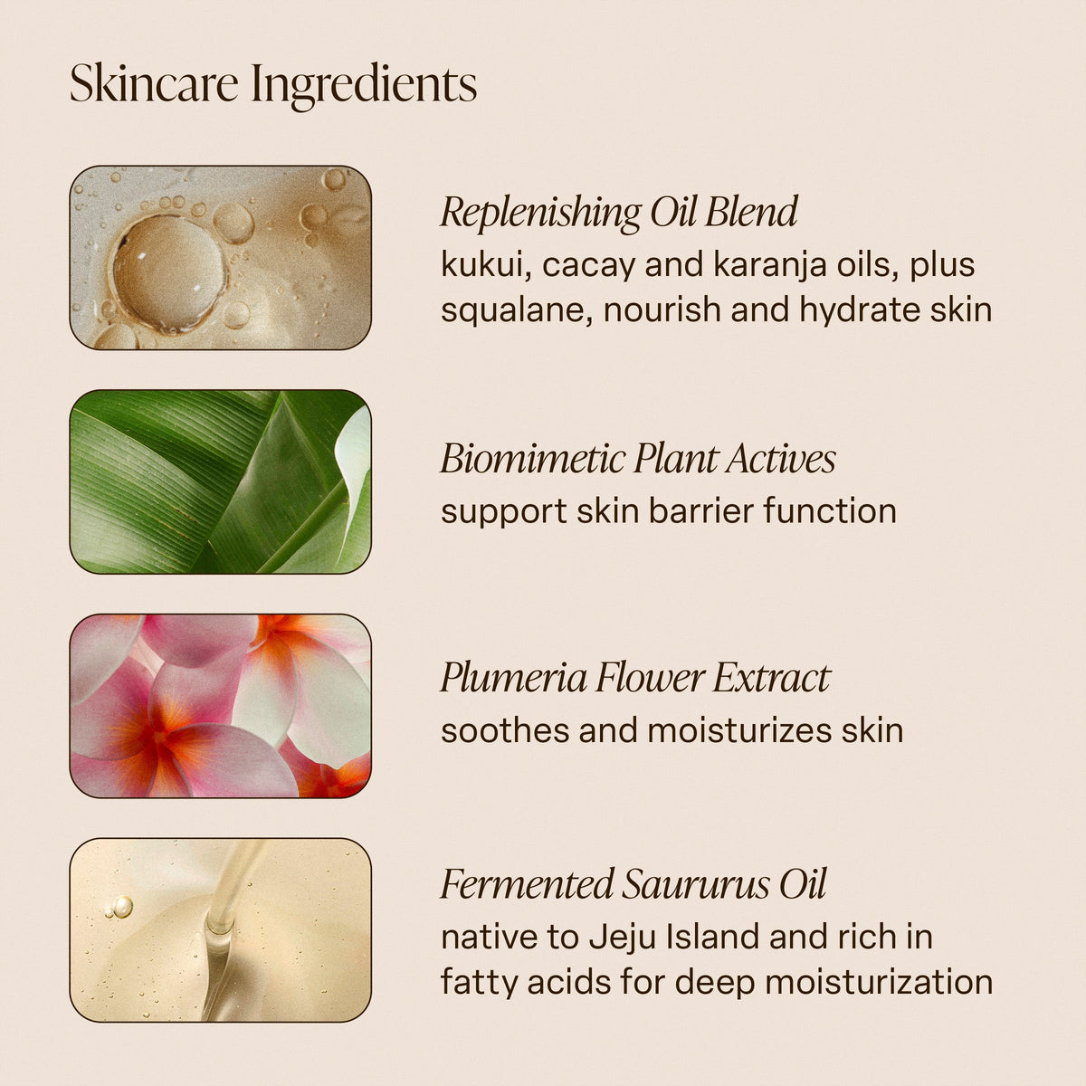 Salt Water Vanilla - Body Oil