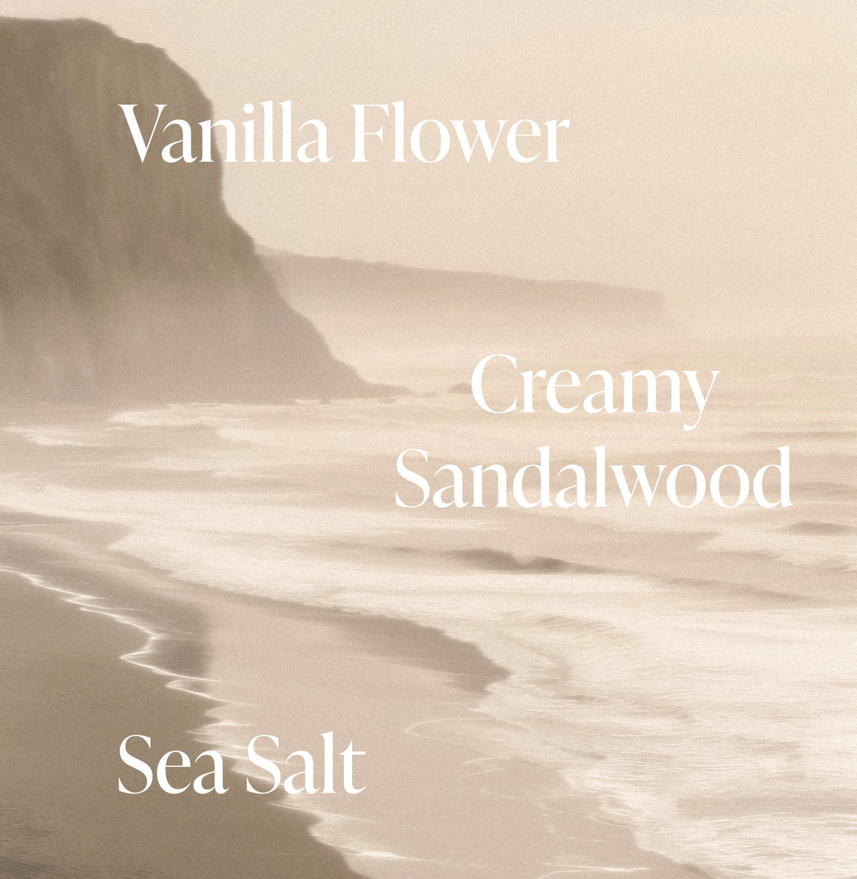Salt Water Vanilla - Essentials Set